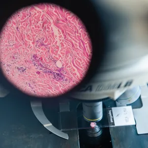 Ser inn i et mikroskop