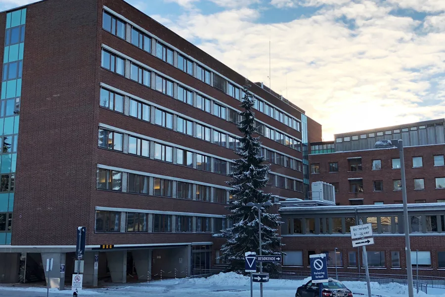 En bygning med et tre foran